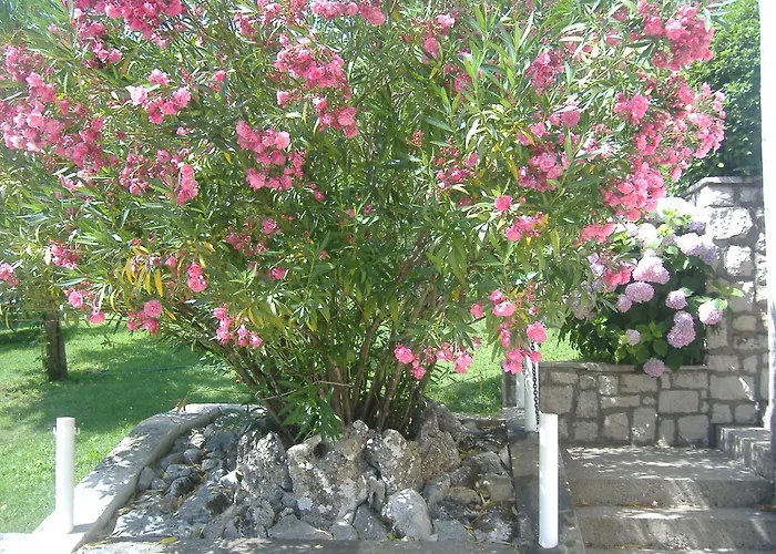 Vendégház Meca Međugorje